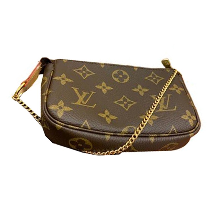 Louis Vuitton Mini Pochette Accessoires M58009