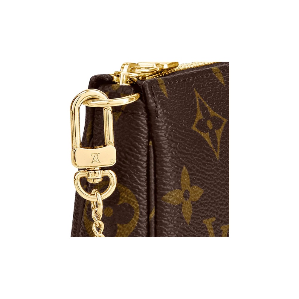 Louis Vuitton Mini Pochette Accessoires M58009