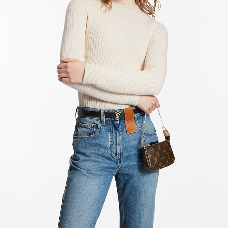 Louis Vuitton Mini Pochette Accessoires M58009