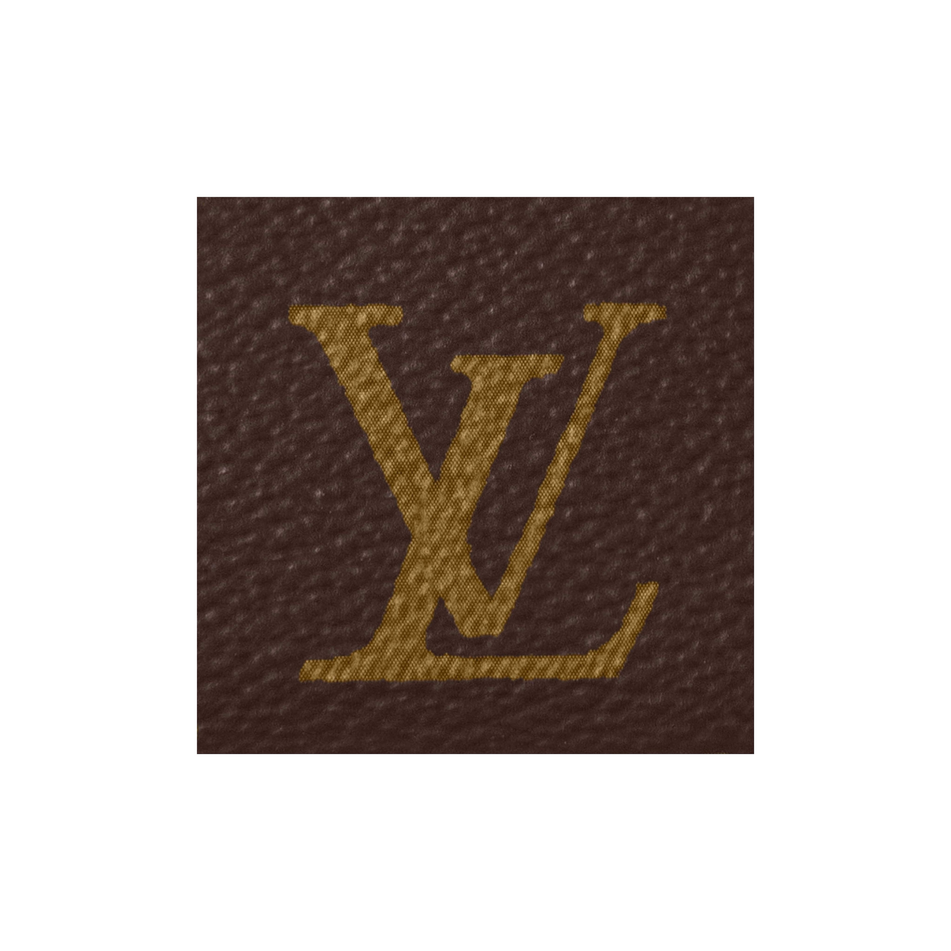 Louis Vuitton Pochette Accessoires M82766