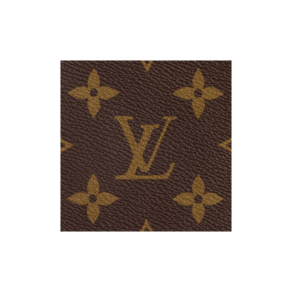 LOUIS VUITTON Multi Pochette Accessoires M44813
