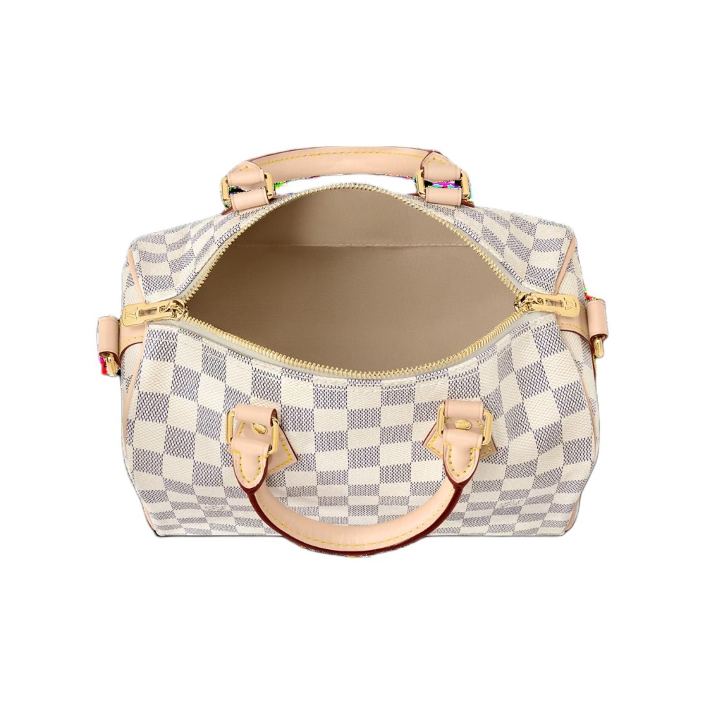 Louis Vuitton Speedy 25 mit Schulterriemen N40608