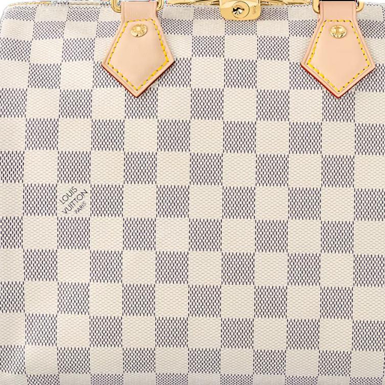 Louis Vuitton Speedy 25 mit Schulterriemen N40608
