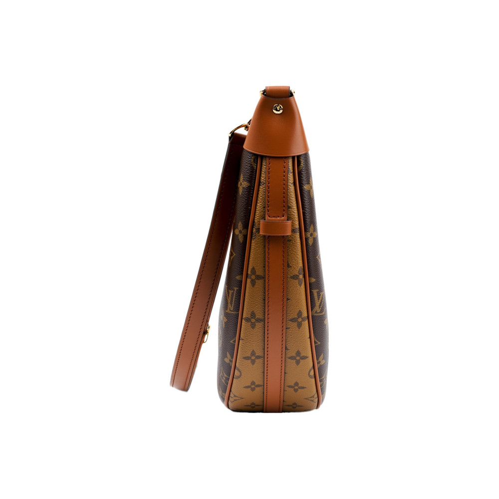Louis Vuitton Loop Hobo M46311