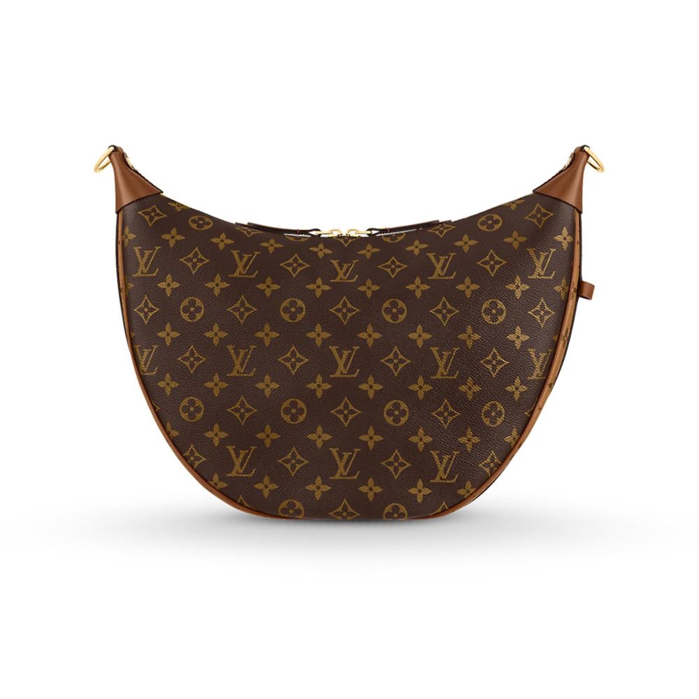 Louis Vuitton Loop Hobo M46311