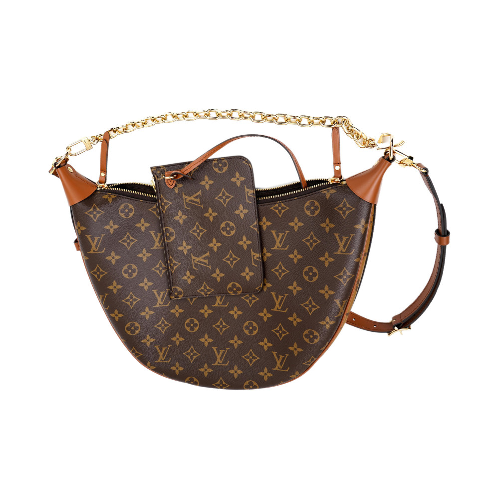 Louis Vuitton Loop Hobo M46311
