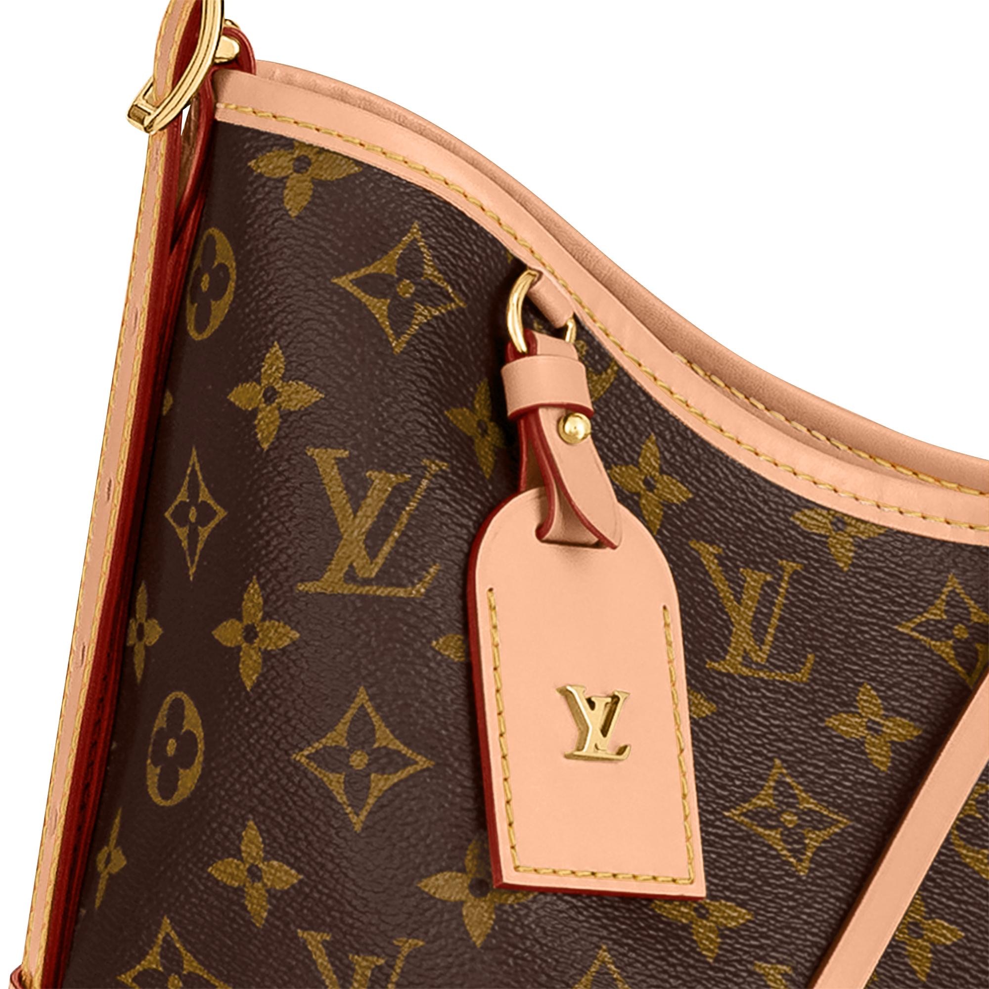 Louis Vuitton CarryAll MM M46197