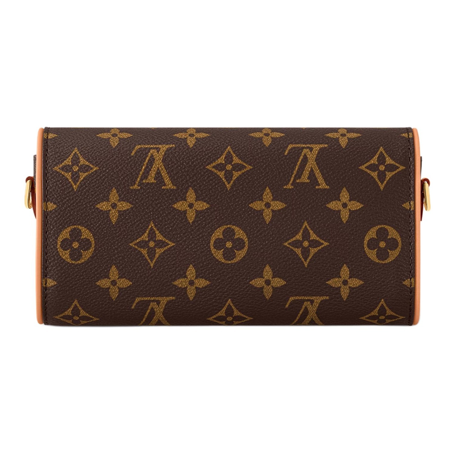 Louis Vuitton Pochette Camille