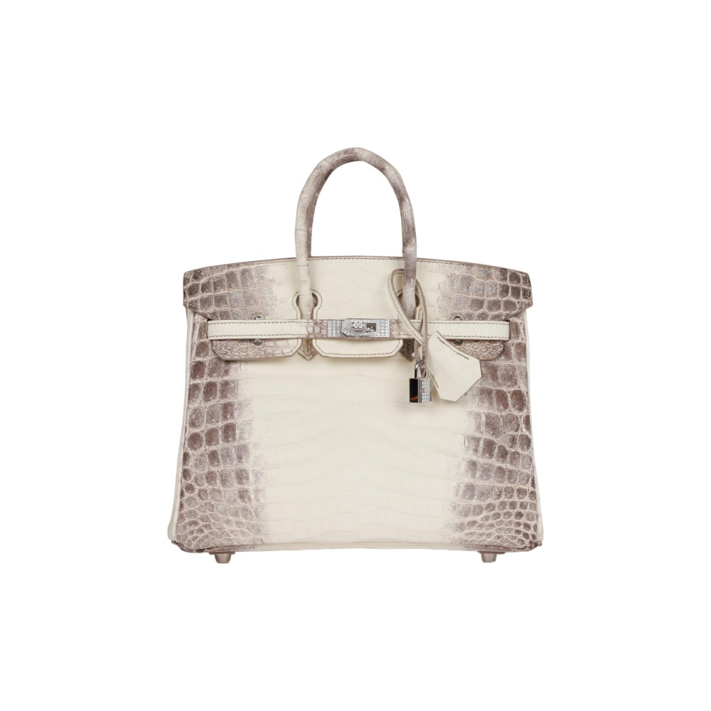 Hermès Birkin 25 Himalaya