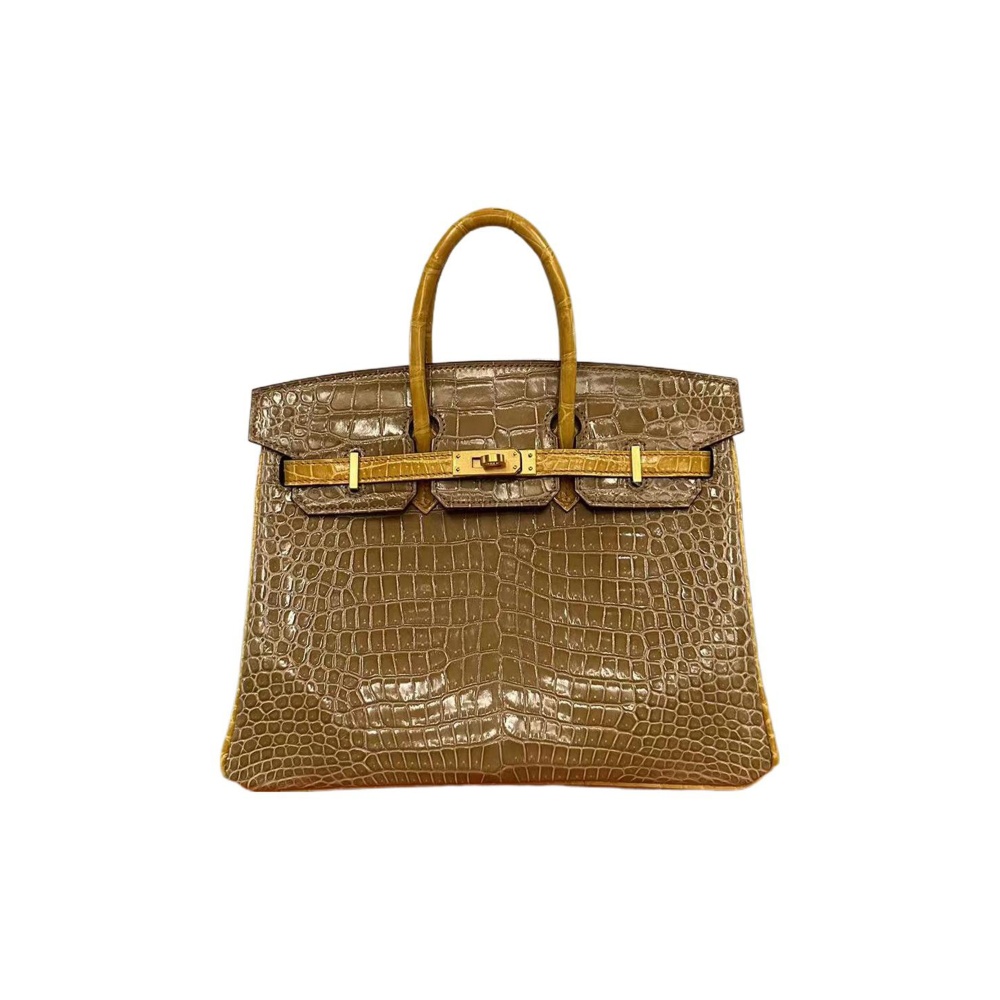 Hermès Birkin 25 Krokodil Gold Hardware