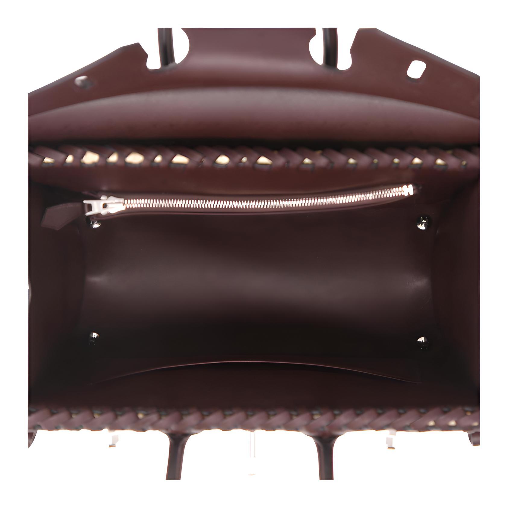 Hermès Birkin 25 Picnic Palladium Hardware