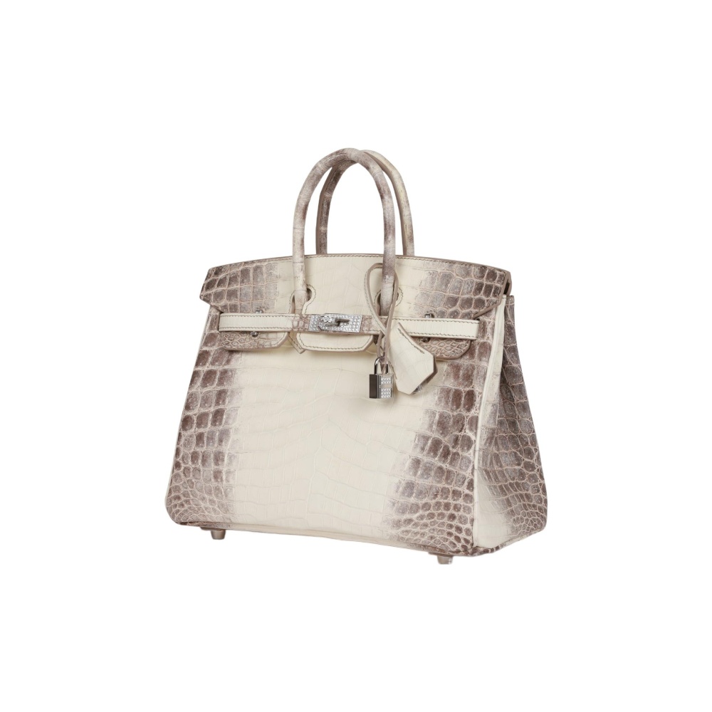 Hermès Birkin 25 Himalaya