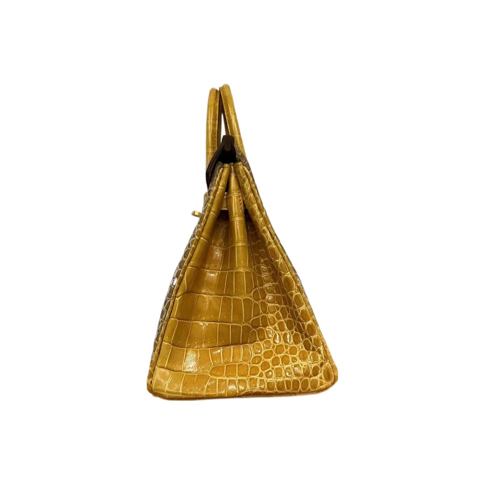 Hermès Birkin 25 Krokodil Gold Hardware