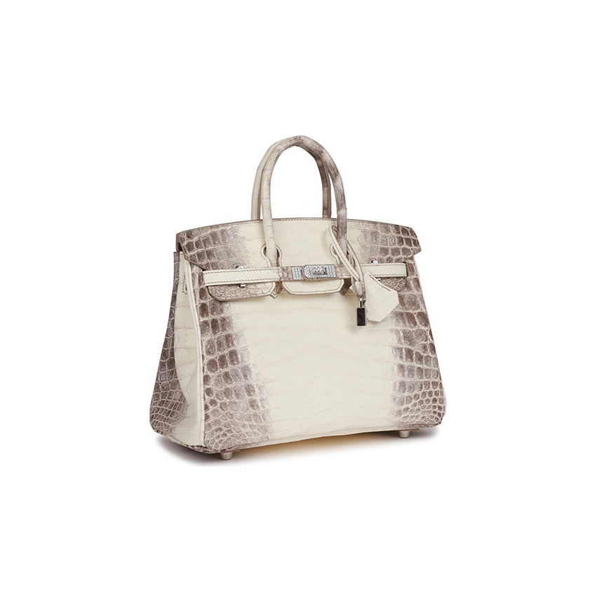 Hermès Birkin 25 Himalaya