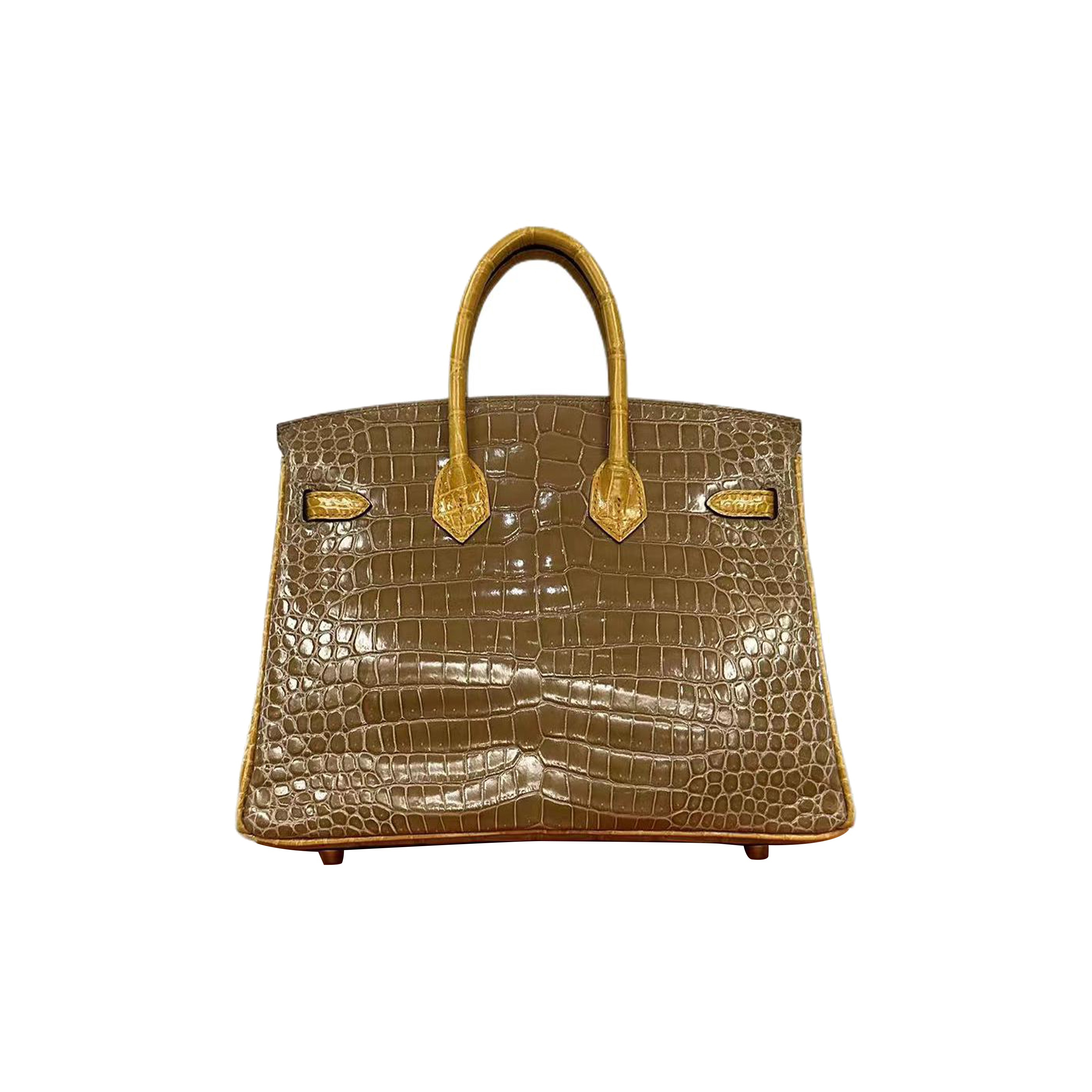 Hermès Birkin 25 Krokodil Gold Hardware