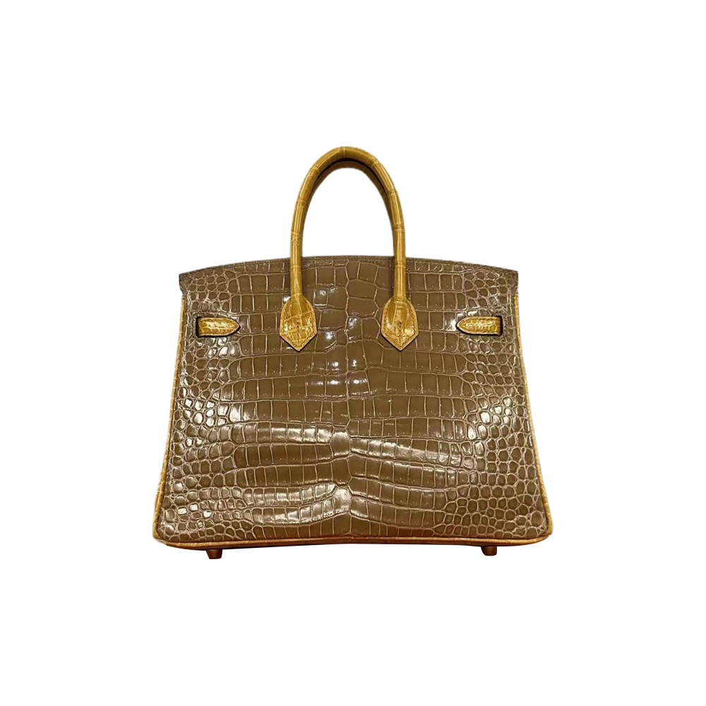 Hermès Birkin 25 Krokodil Gold Hardware