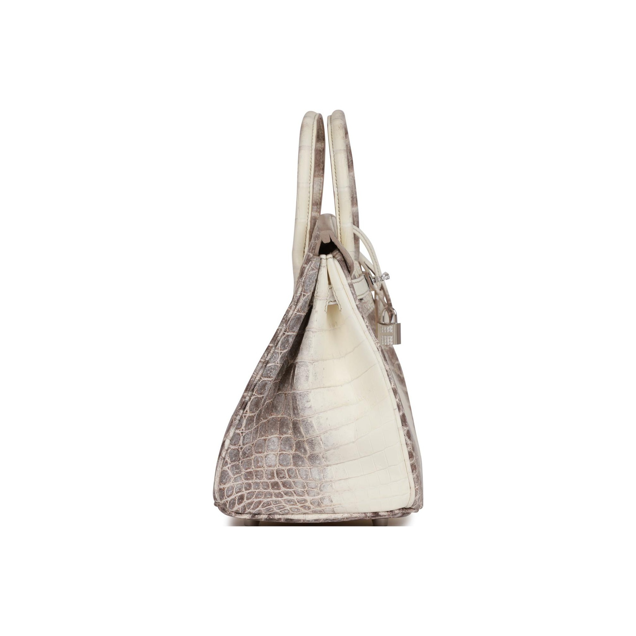 Hermès Birkin 25 Himalaya