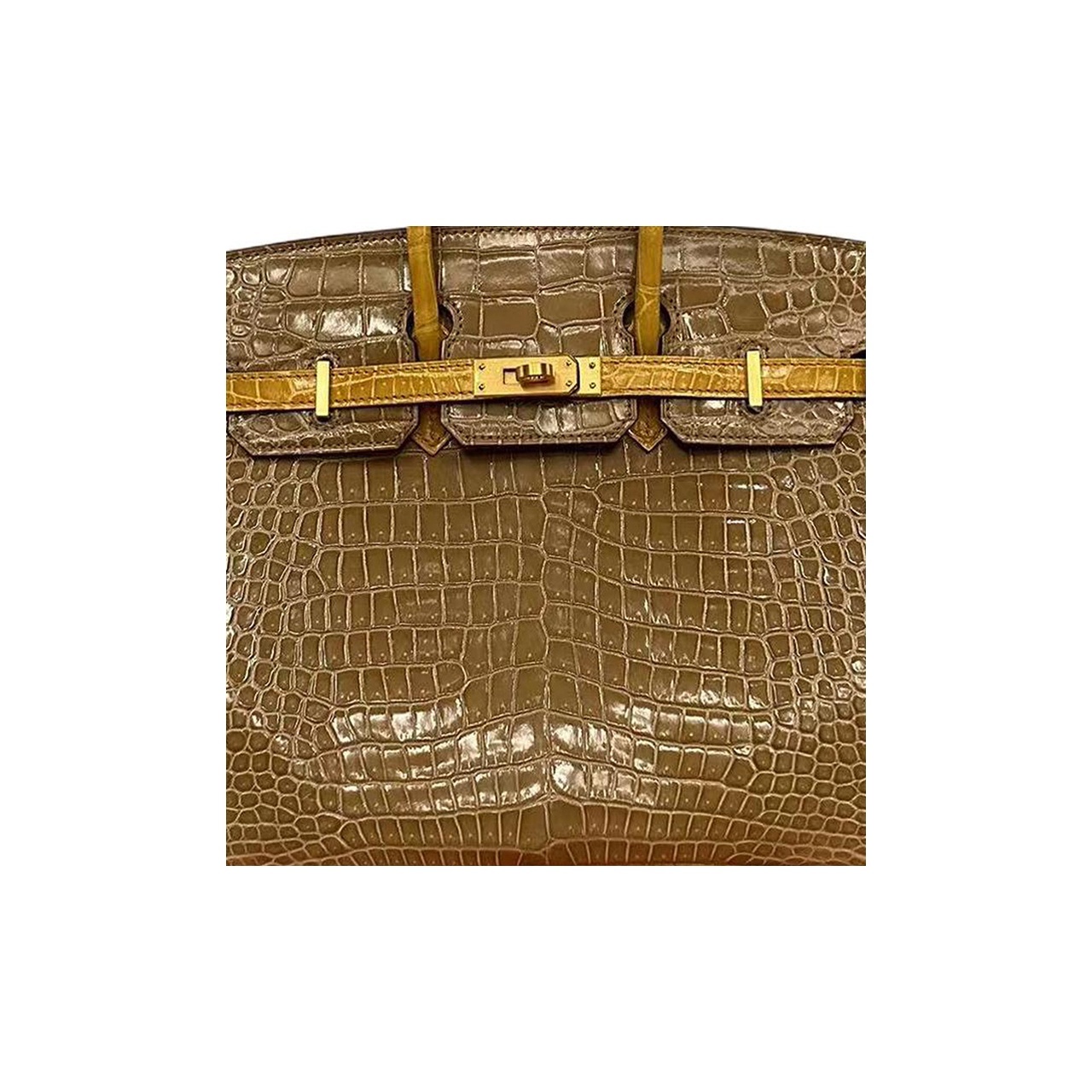 Hermès Birkin 25 Krokodil Gold Hardware