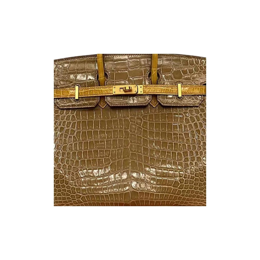 Hermès Birkin 25 Krokodil Gold Hardware
