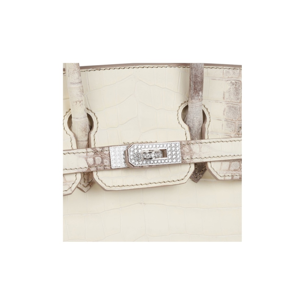 Hermès Birkin 25 Himalaya
