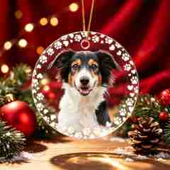 Custom Acrylic Ornaments
