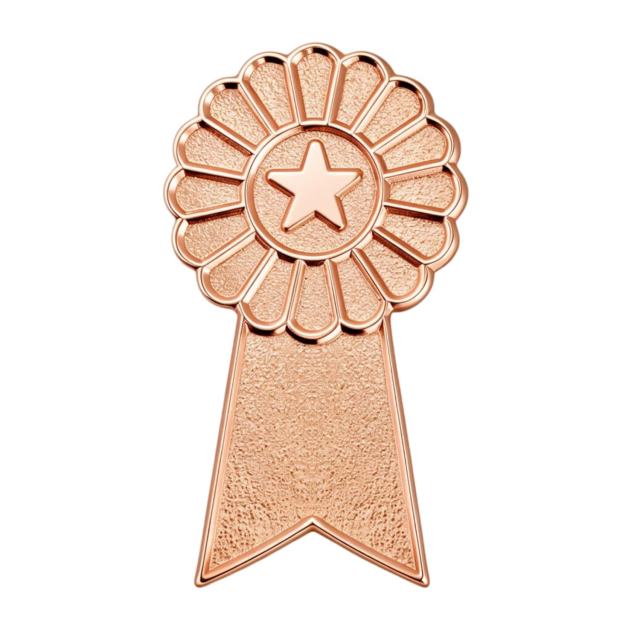 CUSTOM SHINY & SANDBLAST LAPEL PINS
