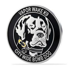 Custom Soft Enamel Coins
