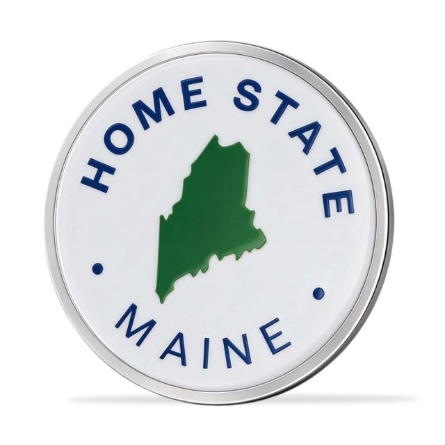 Custom Metal Magnets