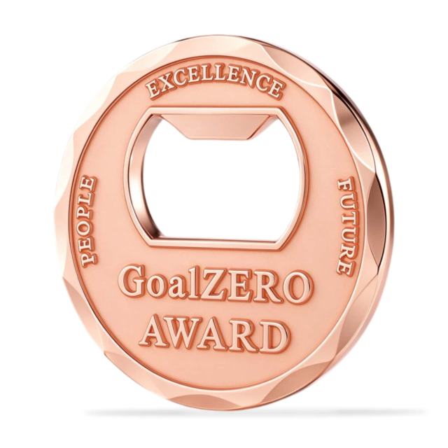 Custom Shiny Coins (no color)