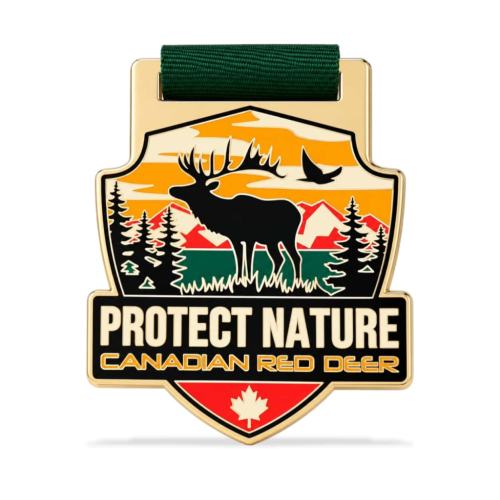 Custom Hard Enamel Medals