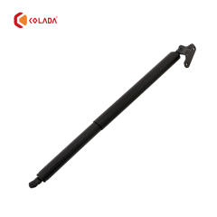 1647400545 Gas Spring