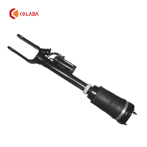 1643206013 Shock absorber