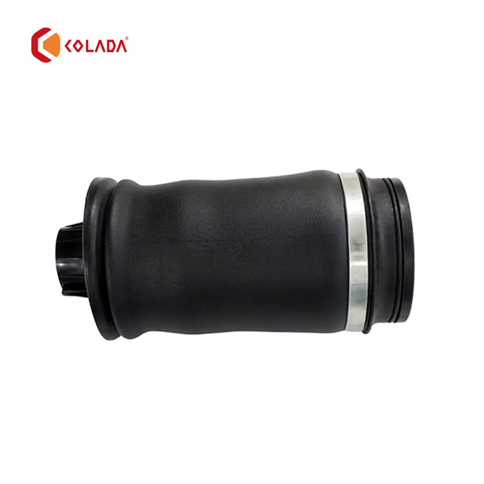 1663200325 Air Suspension Boot,Auto Suspension Systems