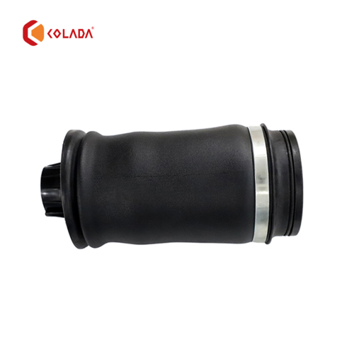 1663200325 Air Suspension Boot,Auto Suspension Systems