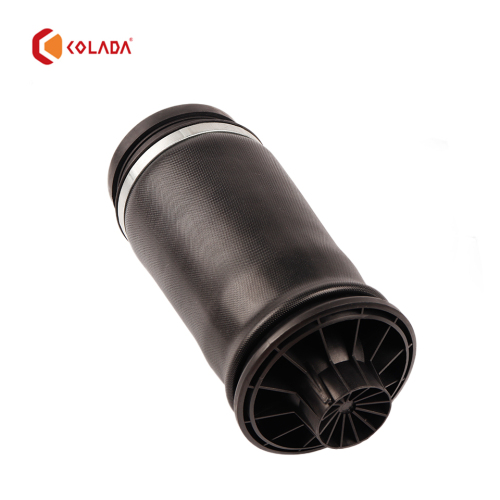 1643201025 Rear shock absorber spring