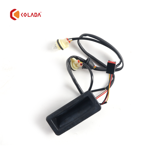 LR079909 Tailgate Door Lock Release Switch