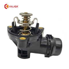 11537510959 Thermostat