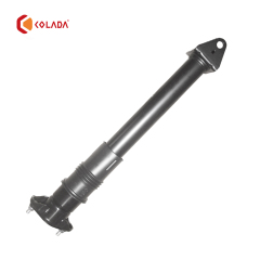 1643202431 Shock absorber