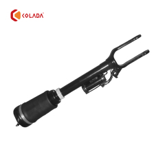 1643206013 Shock absorber