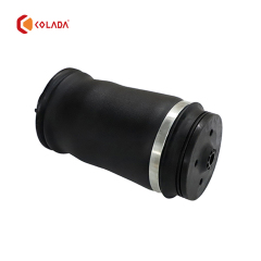 1663200325 Air Suspension Boot