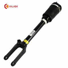 1643206113 Shock absorber