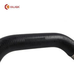 1668304096 Radiator Coolant Hose