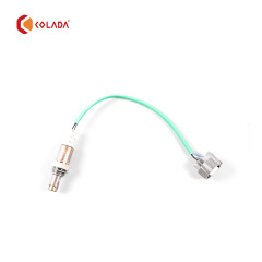 C2P8810 Oxygen Sensor
