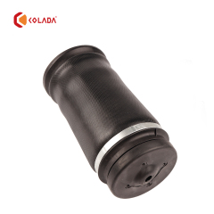 1643201025 Rear shock absorber spring