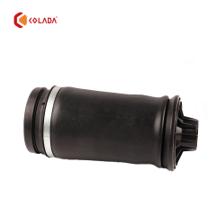 1643201025 Rear shock absorber spring