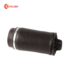 2513200425 Rear shock absorber spring