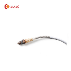C2D39892 Oxygen Sensor