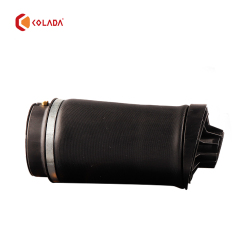 2513200425 Rear shock absorber spring