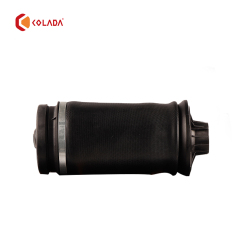 1643201025 Rear shock absorber spring
