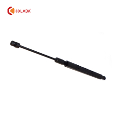 2518800229 Right Gas Stuct Spring